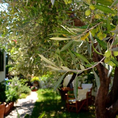 Villa Regina à Kalo Chorio  Extérieur photo