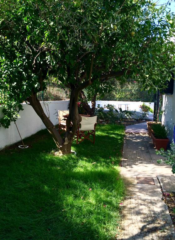 Villa Regina à Kalo Chorio  Extérieur photo