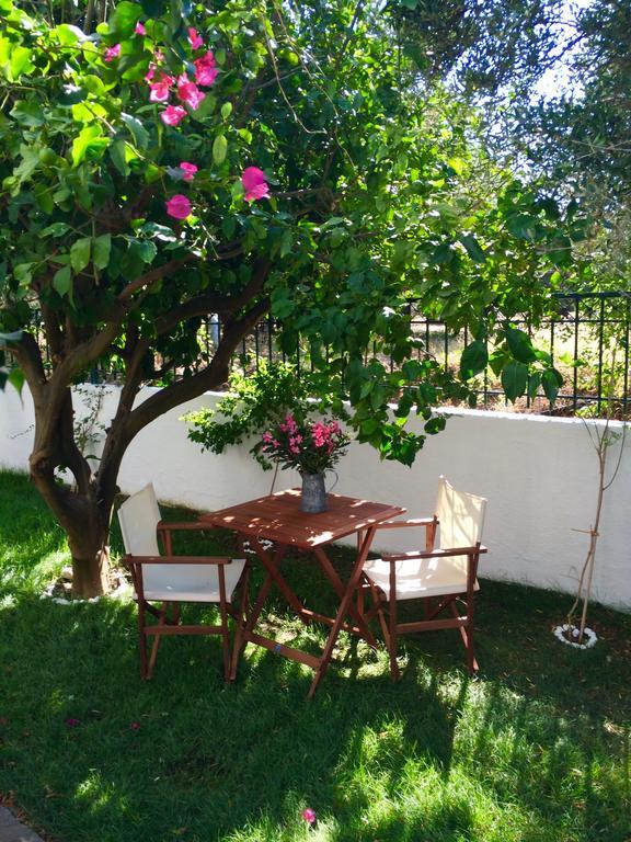 Villa Regina à Kalo Chorio  Extérieur photo