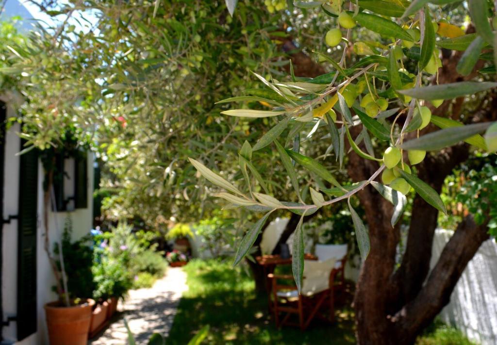 Villa Regina à Kalo Chorio  Extérieur photo