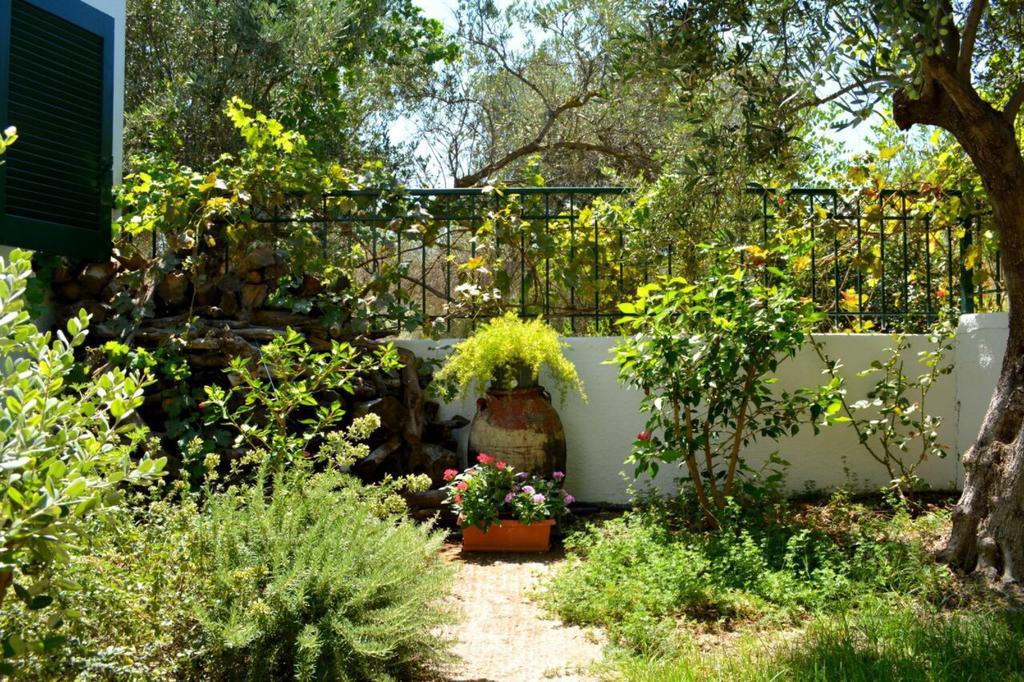 Villa Regina à Kalo Chorio  Extérieur photo